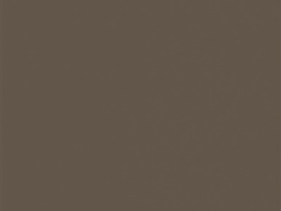 U748 - lanýžově hnědá