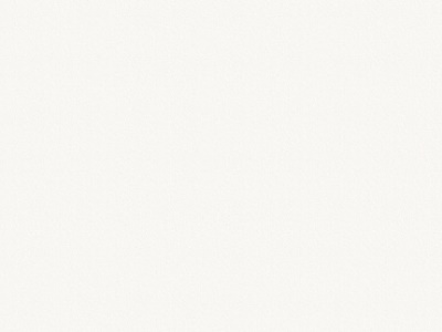 8685 sněhově bílá